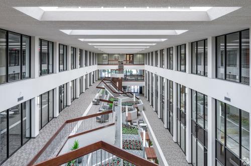 Modern Co‑Working Spaces Available Now in Irving, Texas