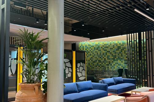 WhatsApp Image 2026-02-16 at 13.24.18